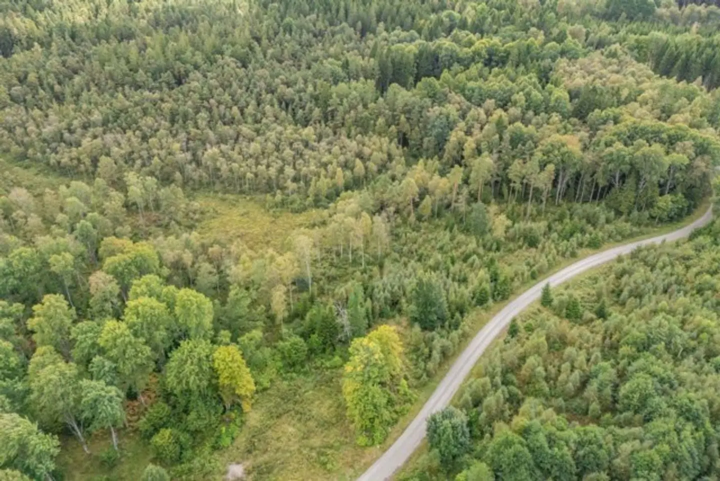 Bild 1 av 21 på Hjortholmen