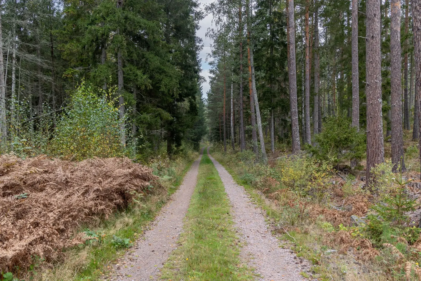 Farm, HULTSFRED DALSEBO 26:1, Hultsfred. Photo 1 of 12