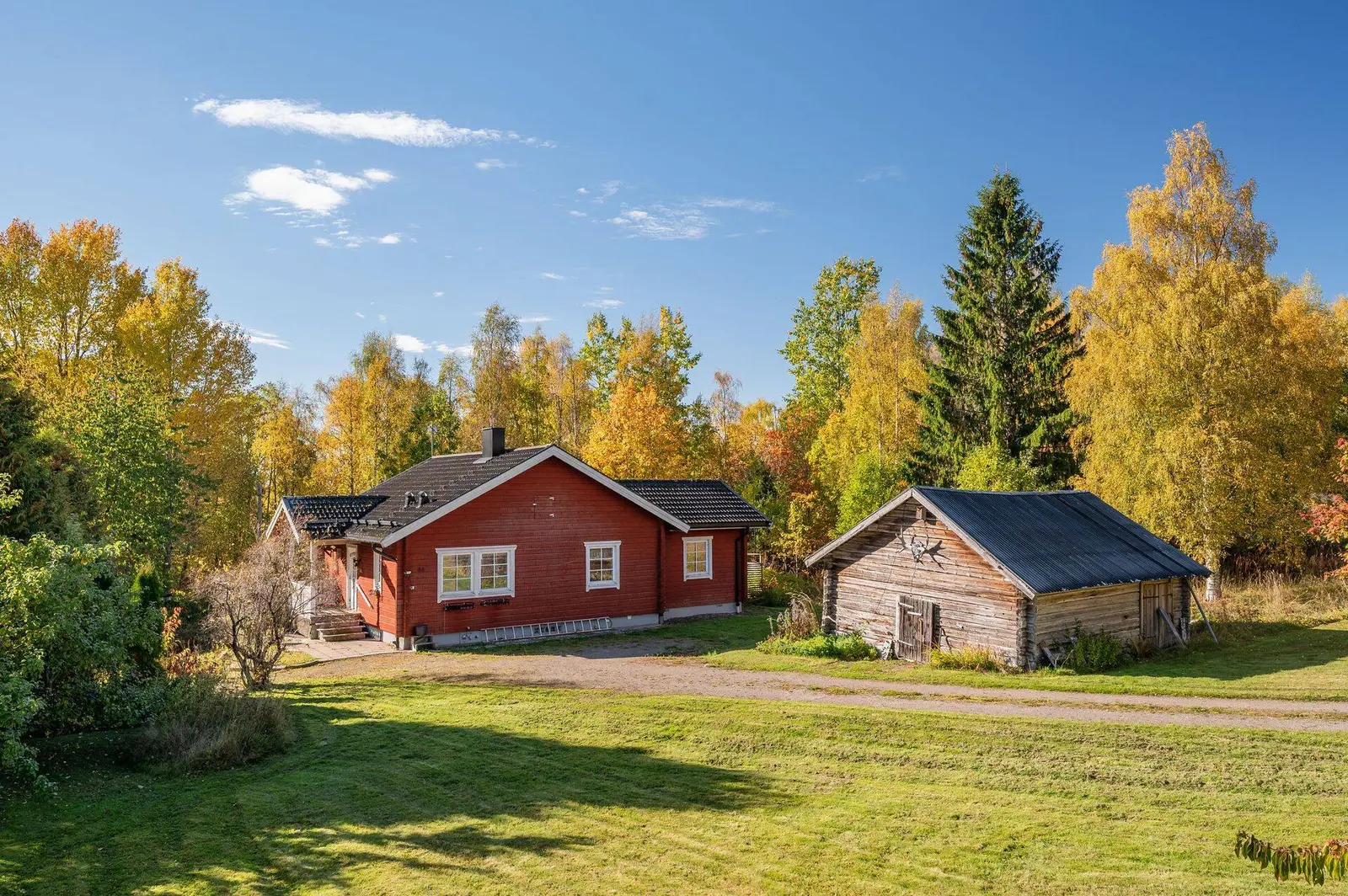 Bild 1 av 40 på Vintjärn 84