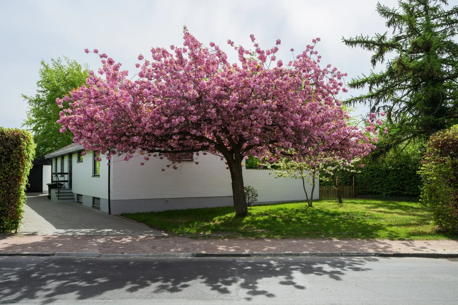 Image 1 of 40 of Östanväg 96
