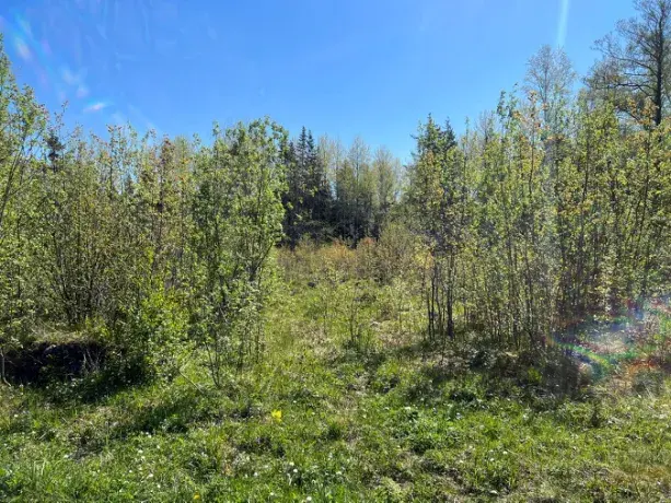 Image 1 of 12 of Utanå 30