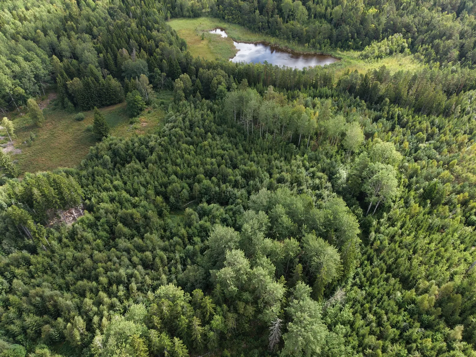 Farm, Skogsegendom om 610 hektar i Roslagen, Norrtälje. Photo 1 of 17