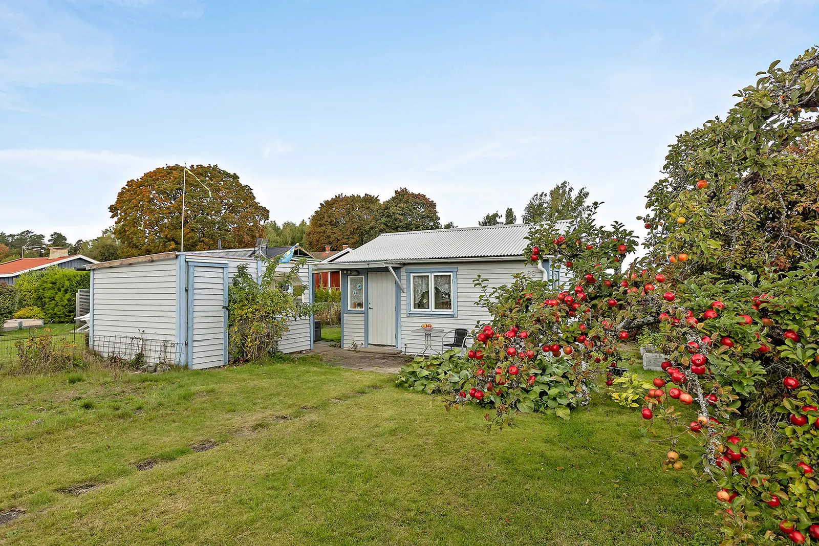 Övrigt, Domarringens koloniområde, kolonilott nummer 33. Bild 1 av 15