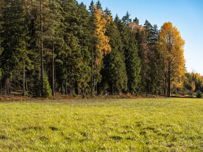 Lägenhet, Sanda. Bild 1 av 28