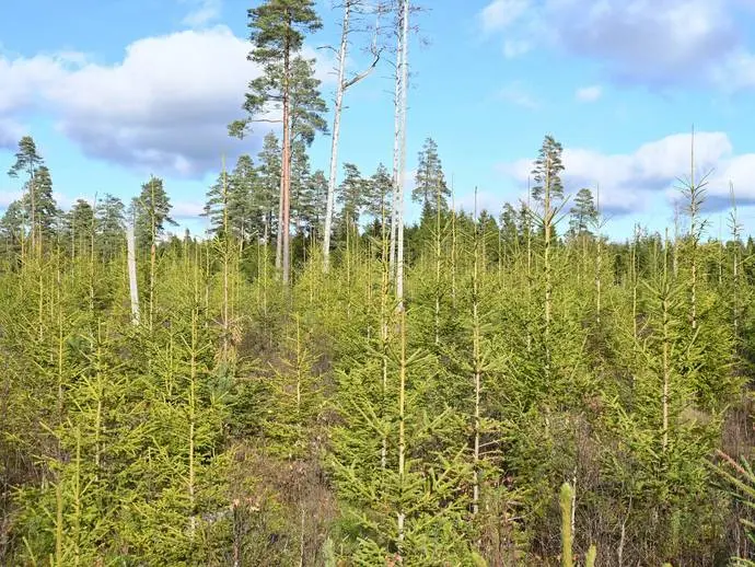 Lägenhet, Göljaryd. Bild 1 av 29