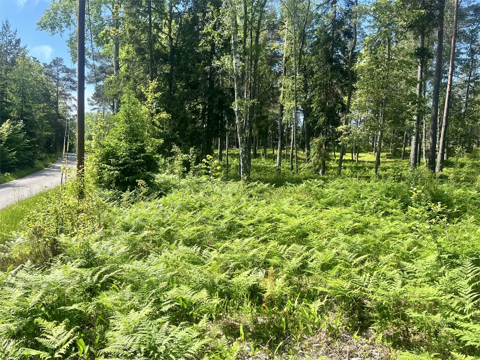 Bild 1 av 5 på Önskevägen 1